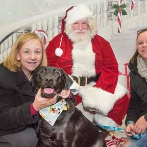 Meet your Posher, Doris